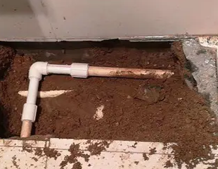 嘉兴测漏水哪家好