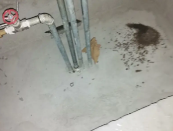 嘉兴卫生间测漏水价格明细